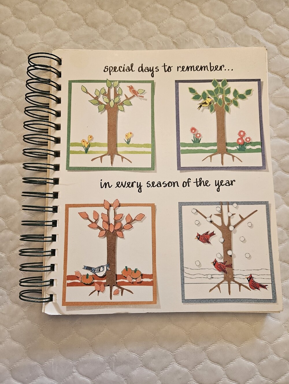 Special Days to Remember Greeting Card Organizer & Address Book 8” x 9 1/2”